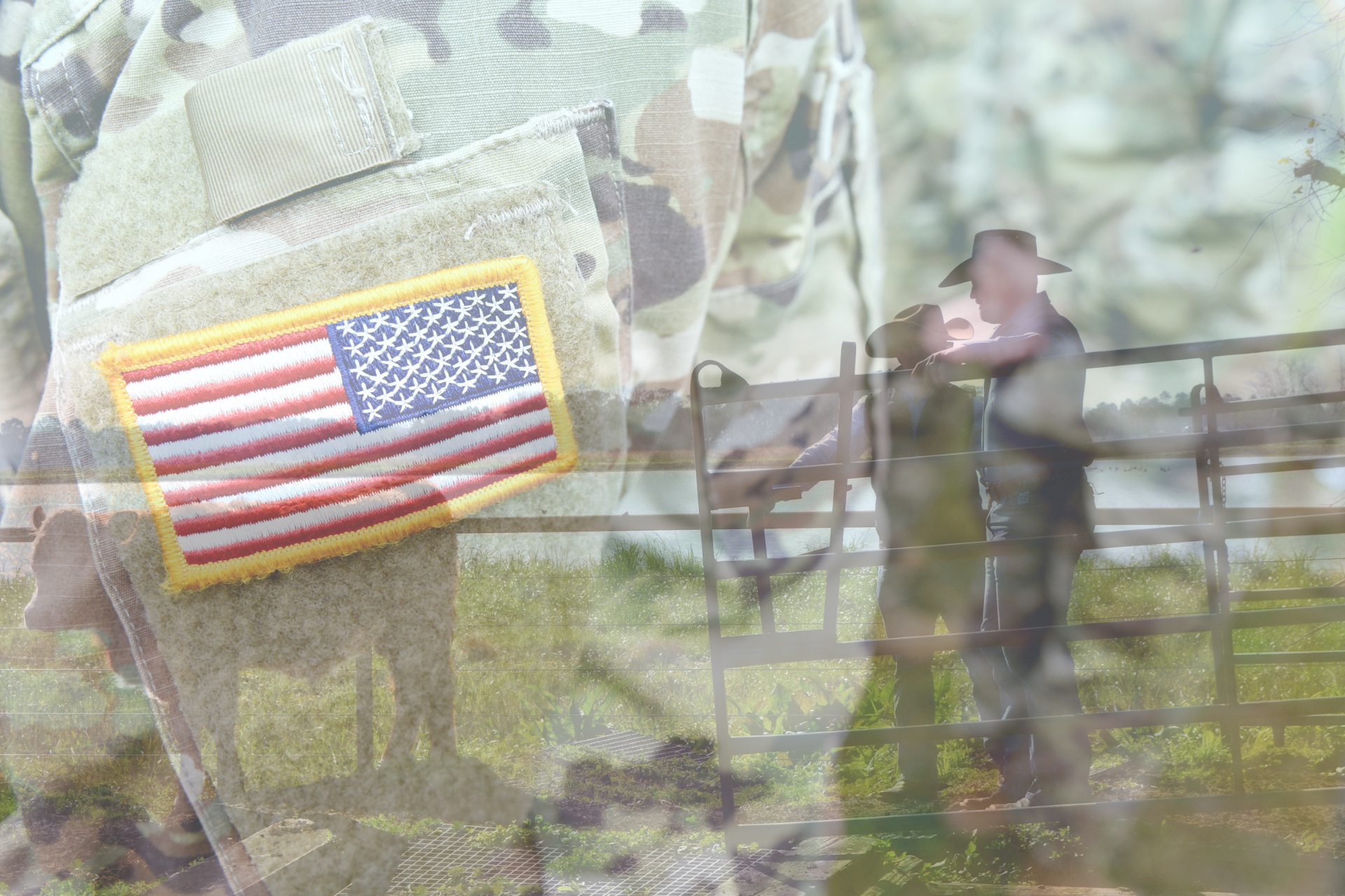 From Battlefields to Beef Cattle: Our Mission